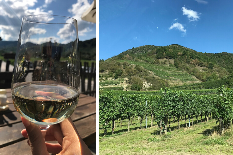 Wino, Dolina Wachau