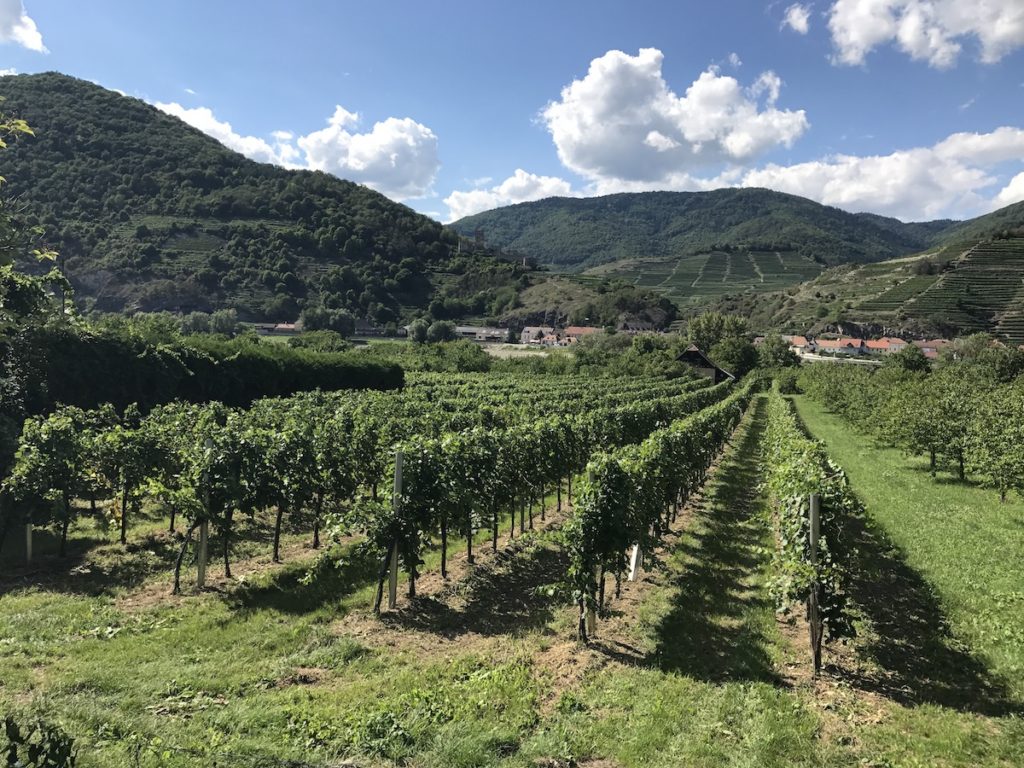 Dolina Wachau