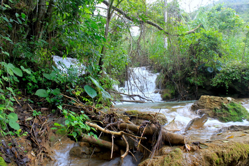 El Nicho