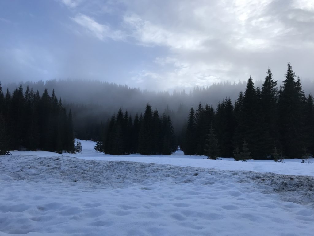 Goreljek, Słowenia