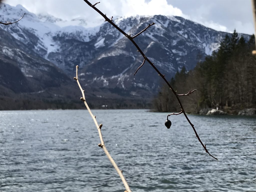 Jezioro Bohinj, Słowenia