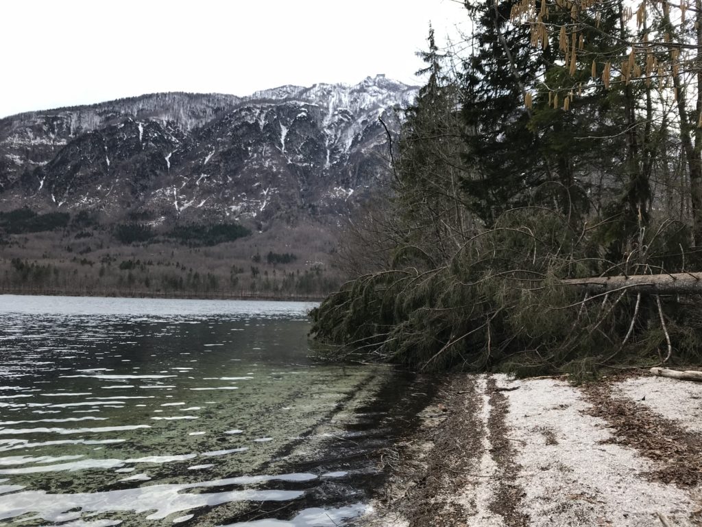 Jezioro Bohinj, Słowenia