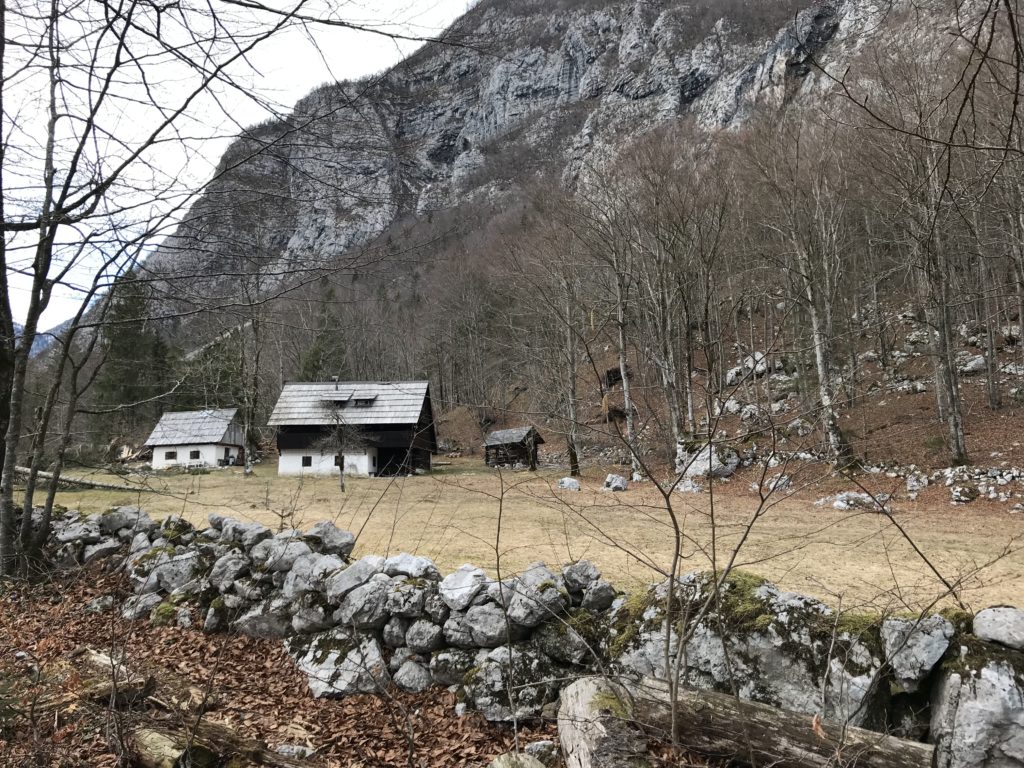 Jezioro Bohinj, Słowenia