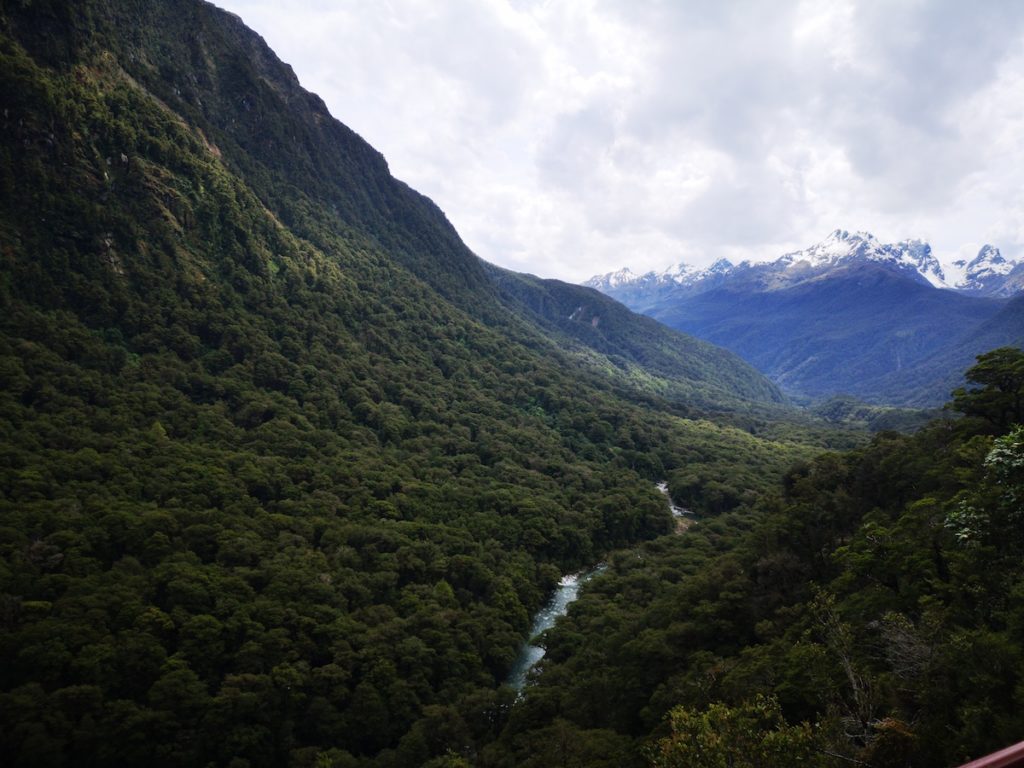 Fiordland