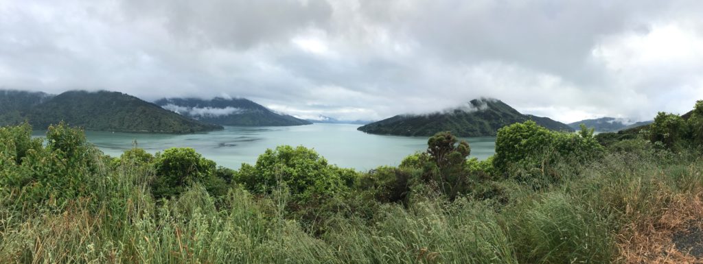 Queens Charlotte Drive