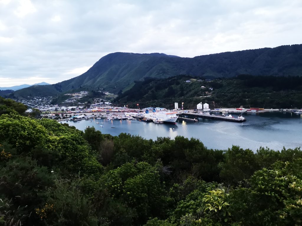 Port w Picton
