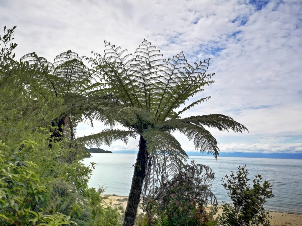 Abel Tasman National Park