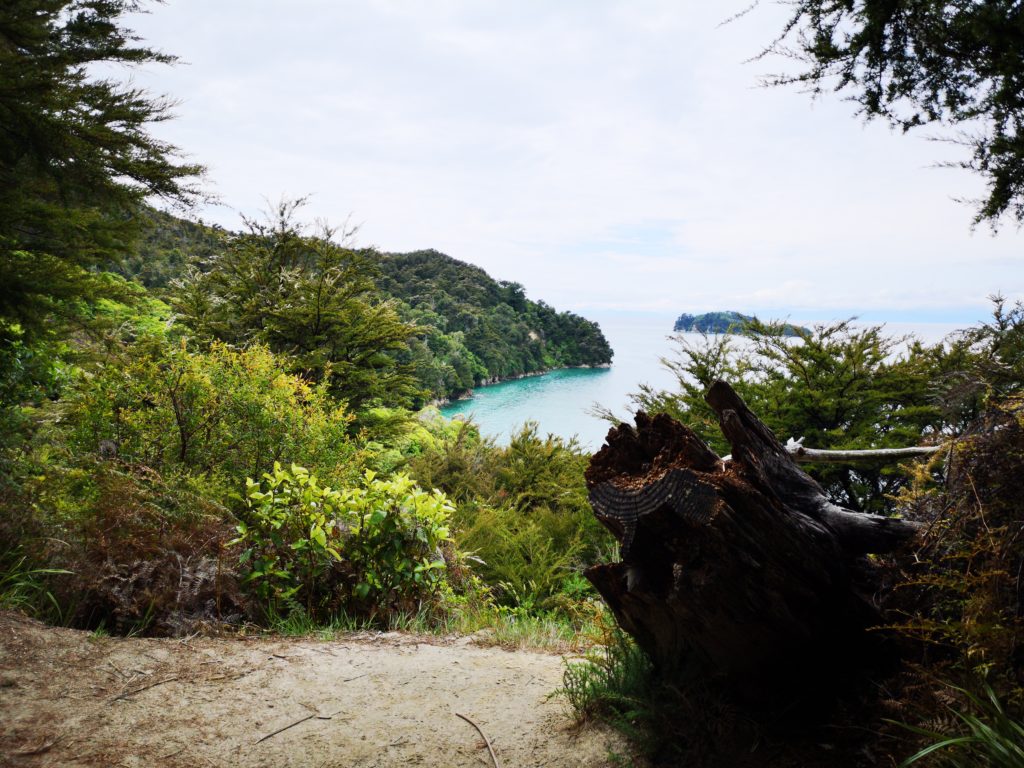 Abel Tasman National Park