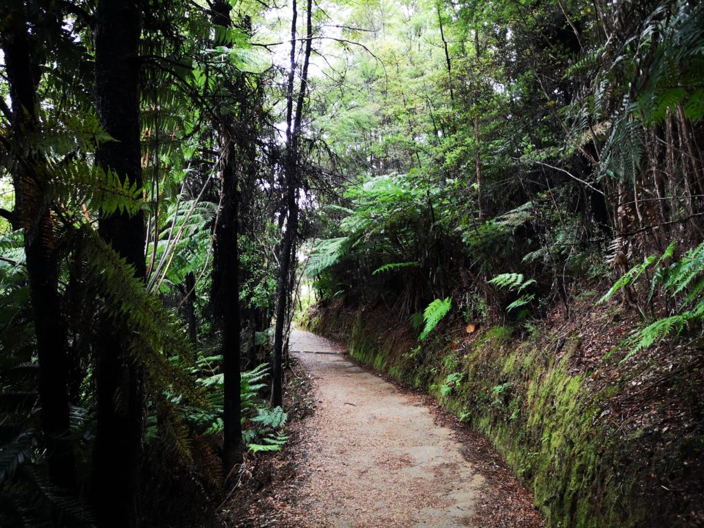 Abel Tasman National Park