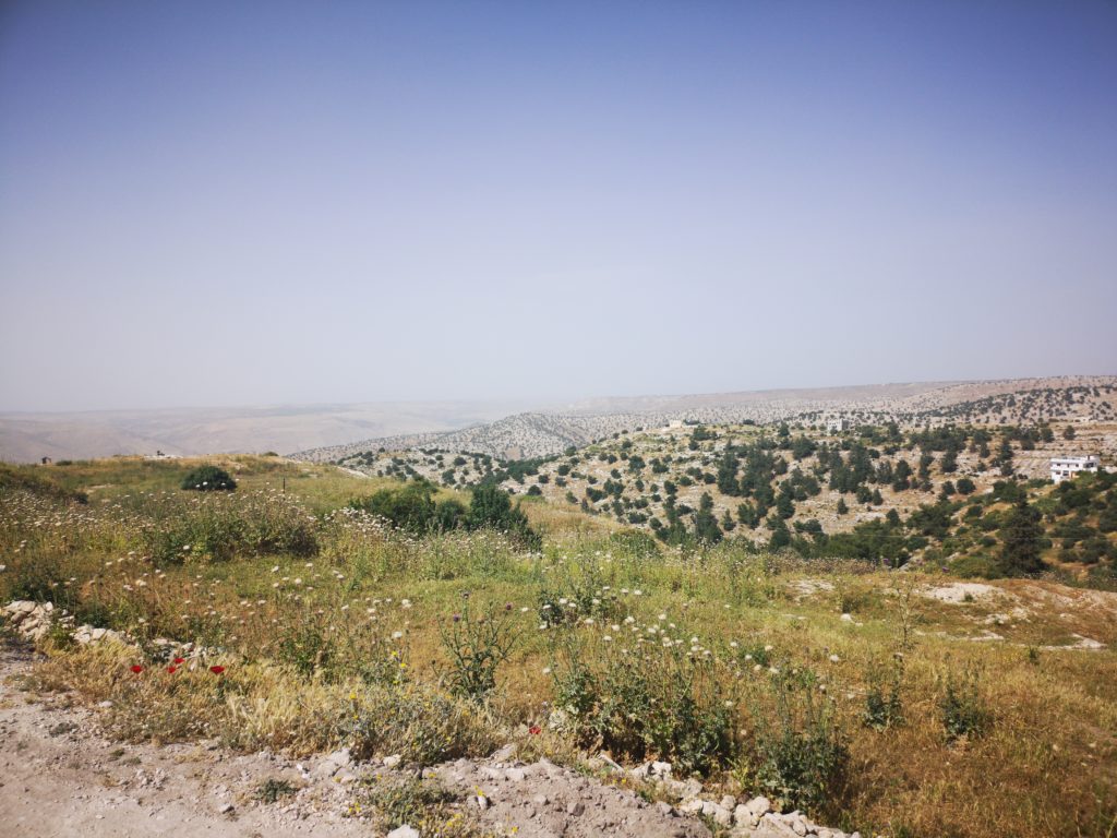 Wadi Zubia